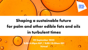 Shaping a sustainable future for palm and other edible fats and oils in turbulent times