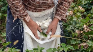 Turning insights into action: key takeaways from Cotton 2040’s Masterclass series