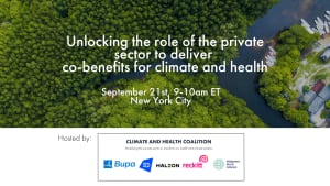 Unlocking the role of the private sector to deliver co-benefits for climate and health