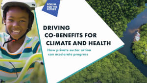 Driving Co-Benefits For Climate And Health: How private sector action can accelerate progress