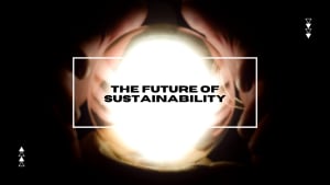 The Future of Sustainability: Looking Back to Go Forward