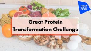 Great Protein Transformation Challenge