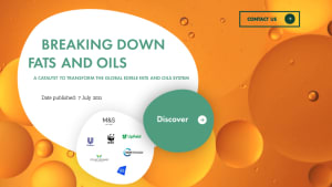 Breaking down fats and oils report